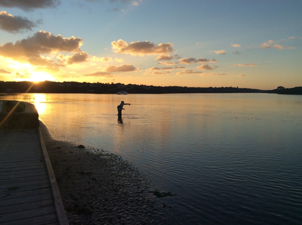 Andy casting for herring