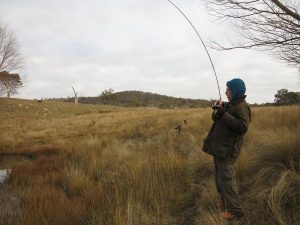 Big fish on a 4 weight