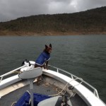 Boat with Briggsy