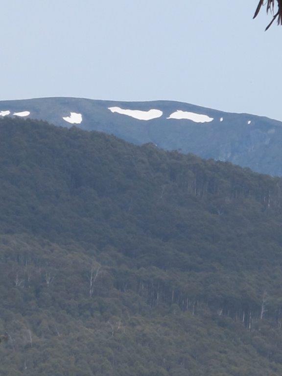 While it was high twenties temps in the valleys, winter still isn't quite over on the uppermost slopes of Mt Bogong.