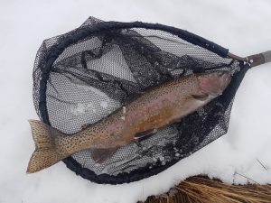 bow-in-the-snow-s
