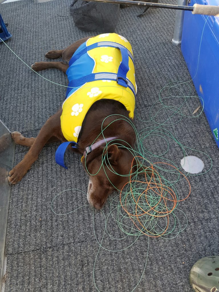 Briggsy just didn't care any more - too hot in her PFD