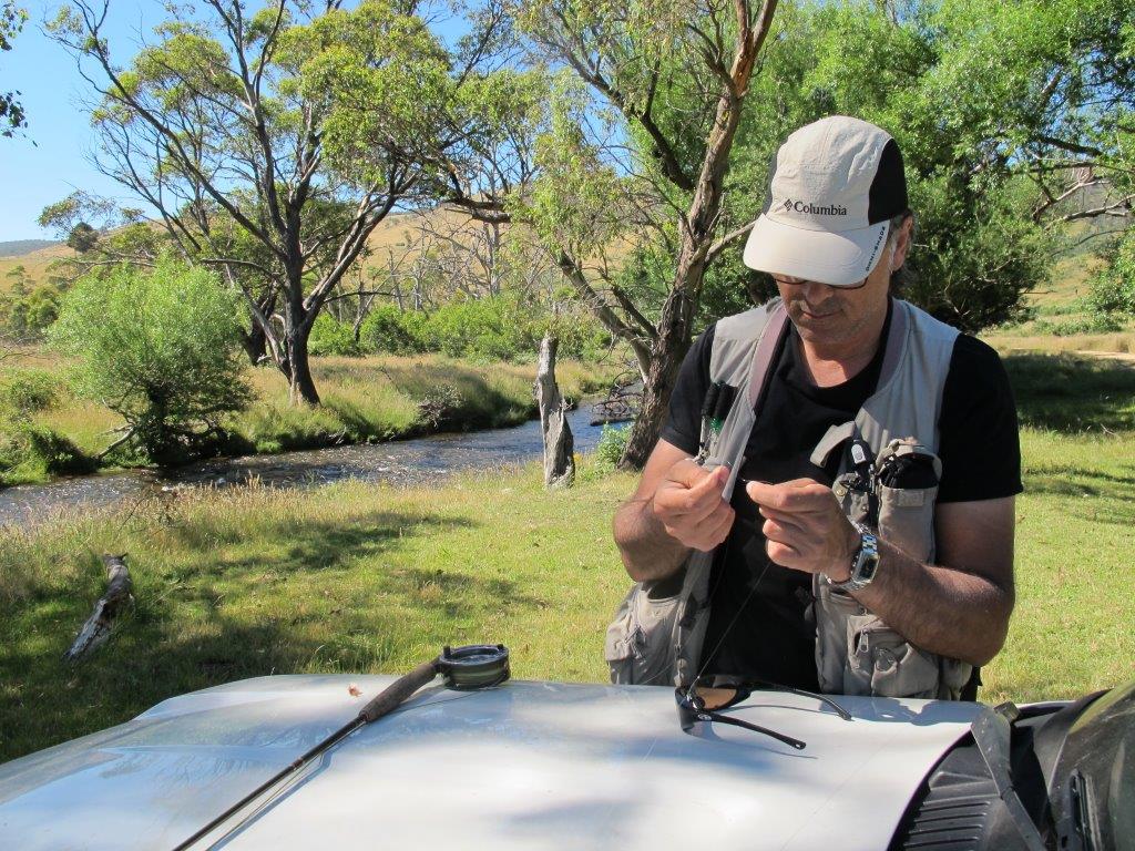 Max ties on an Elk Hair Caddis on the Bundarra. It did very well - but was it definitely the best fly we could have used?