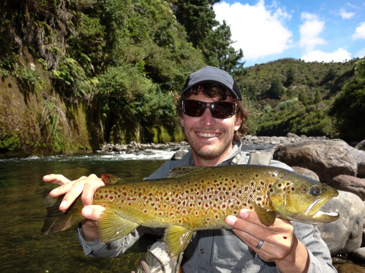 Manganuioteao brown
