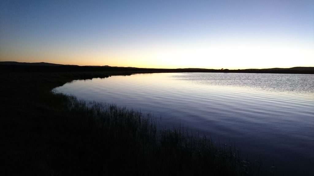 Looking for dawn tailers, Nineteen Lagoons.