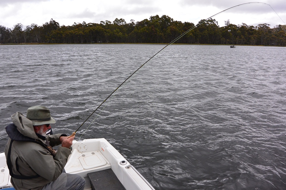 Doobry Variant Fly Pattern | A Reliable Loch-Style Middle Dropper