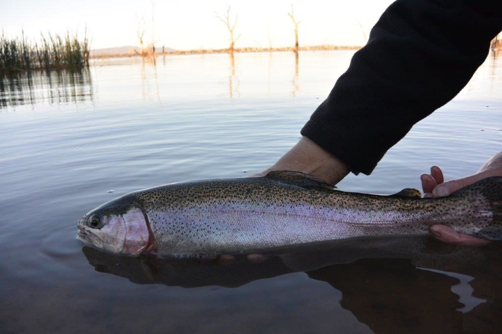 Lake Fyans, May 2016. This month signaled the start of the prolonged wet period.