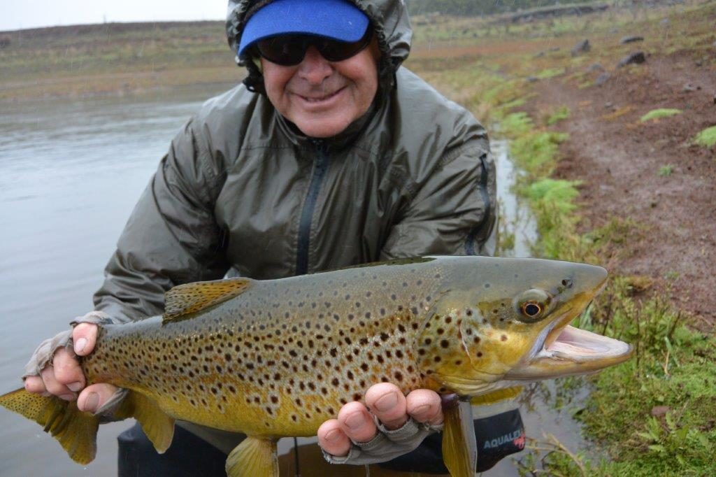 Wet, cold conditions summed up a fair bit of 2016, but the trout didn't mind!
