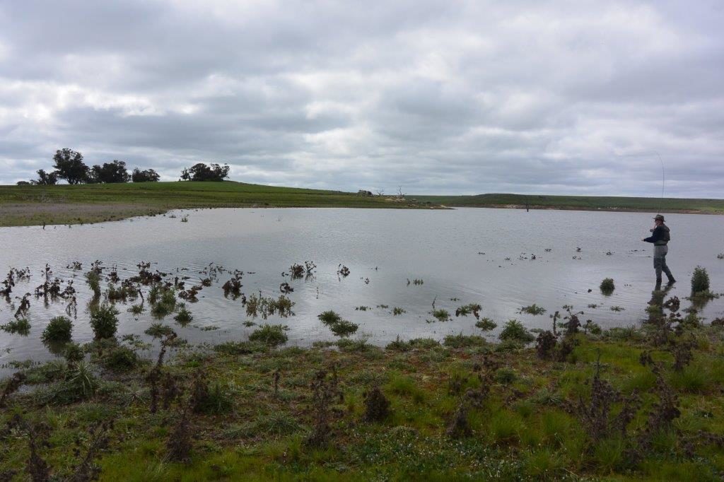 Tullaroop filling in mid spring. Note the high water mark on the far side - the lake reached this level 5 days after this picture was take, doubling in volume and spilling.