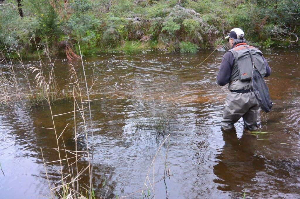 Over the banks but still fishable... maybe?