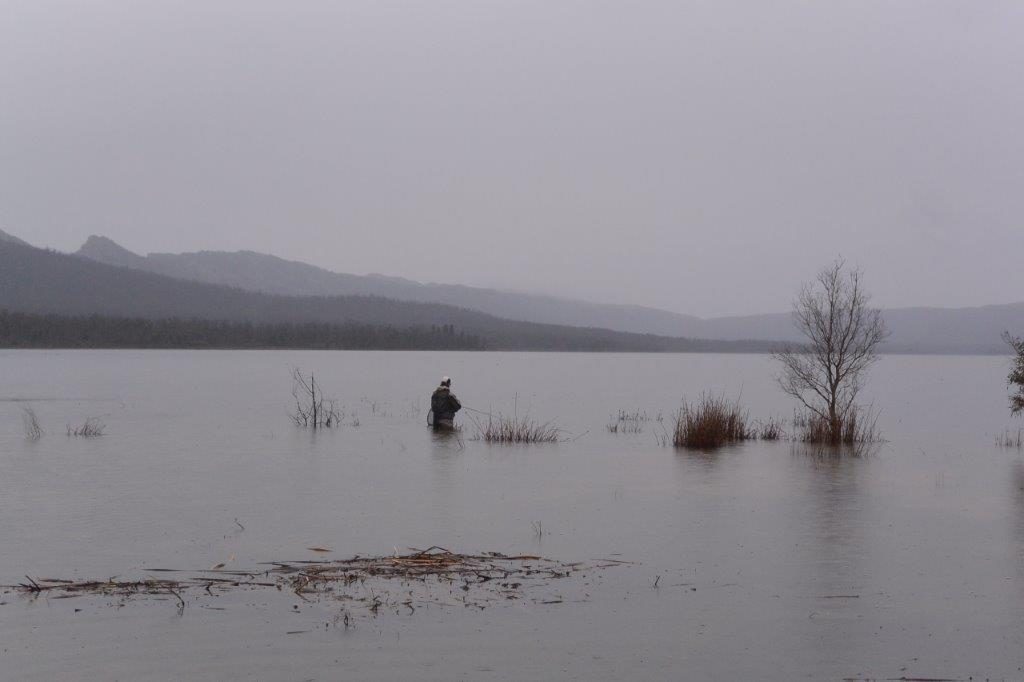 Max cuts a lonely figure on a rainy, deserted Lake Wartook.