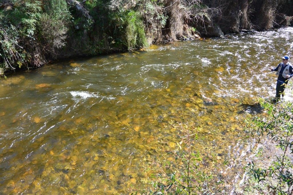 The normally 'babbling brook' Steavenson looked more like a kayak slalom course.