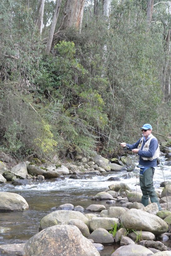 It's pretty cool that one of Victoria's most heavily fished trout streams, the Rubicon, now has a 3 fish limit.