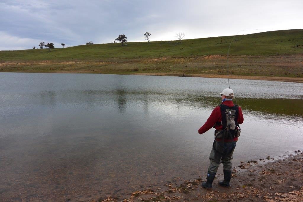 At Eucumbene, once the cloud rolled in and the wind eased, midging trout were going flat out - even at midday.