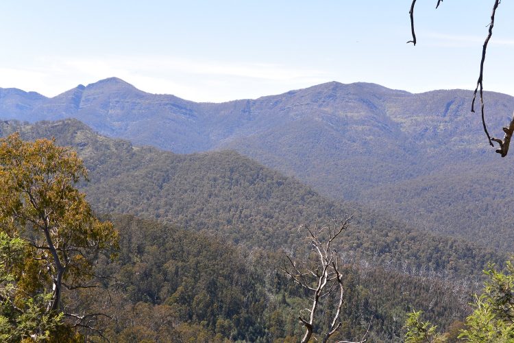 Somewhere way down there is the upper Howqua. 