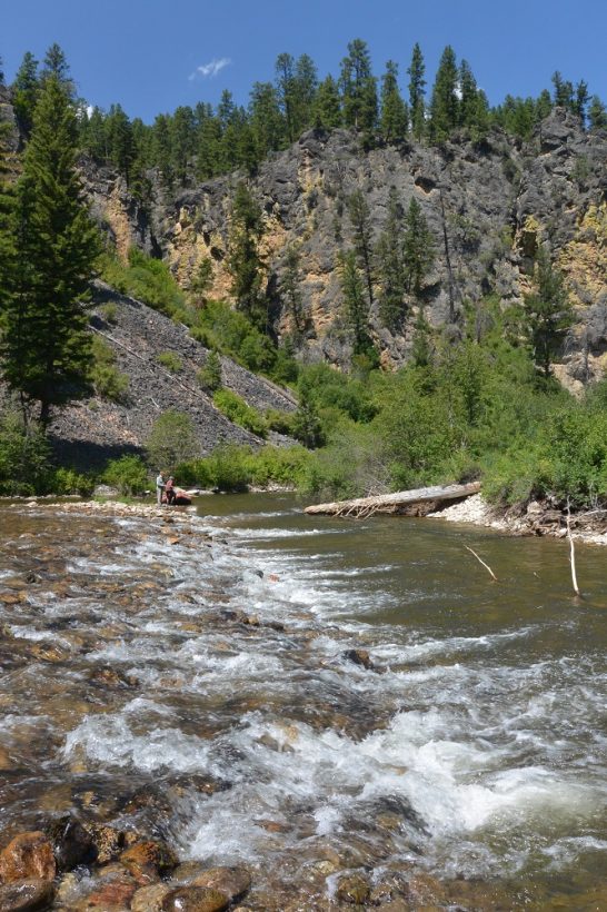 Complex currents on the Bitterroot River - the angler needs to work hard here to avoid drag..