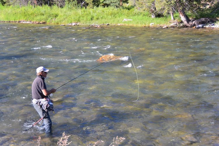 Montana guide Chuck Ravetta - master of the long drag free drift -fishing his beloved Gallatin River.