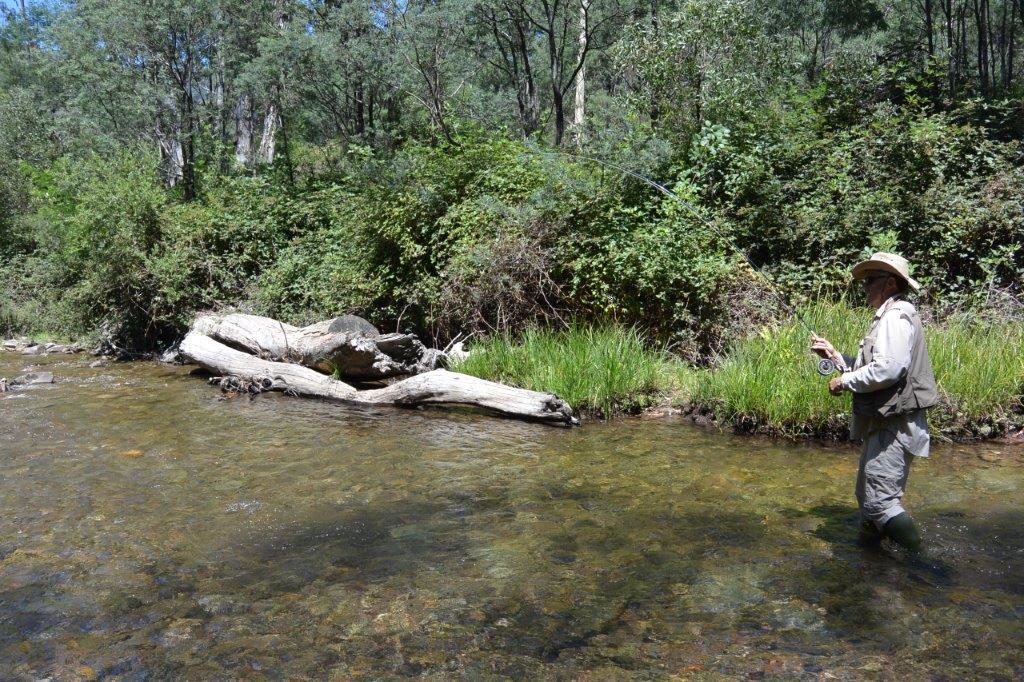 The typical scene when Peter and I fish north-east Vic - until this trip.