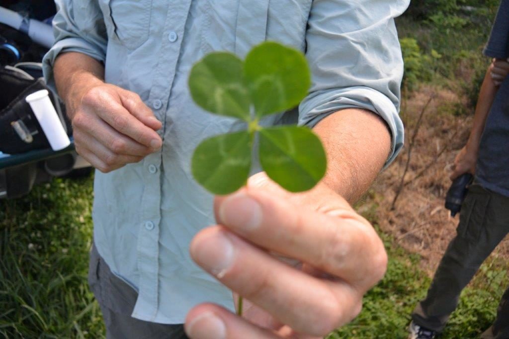 Lucky?