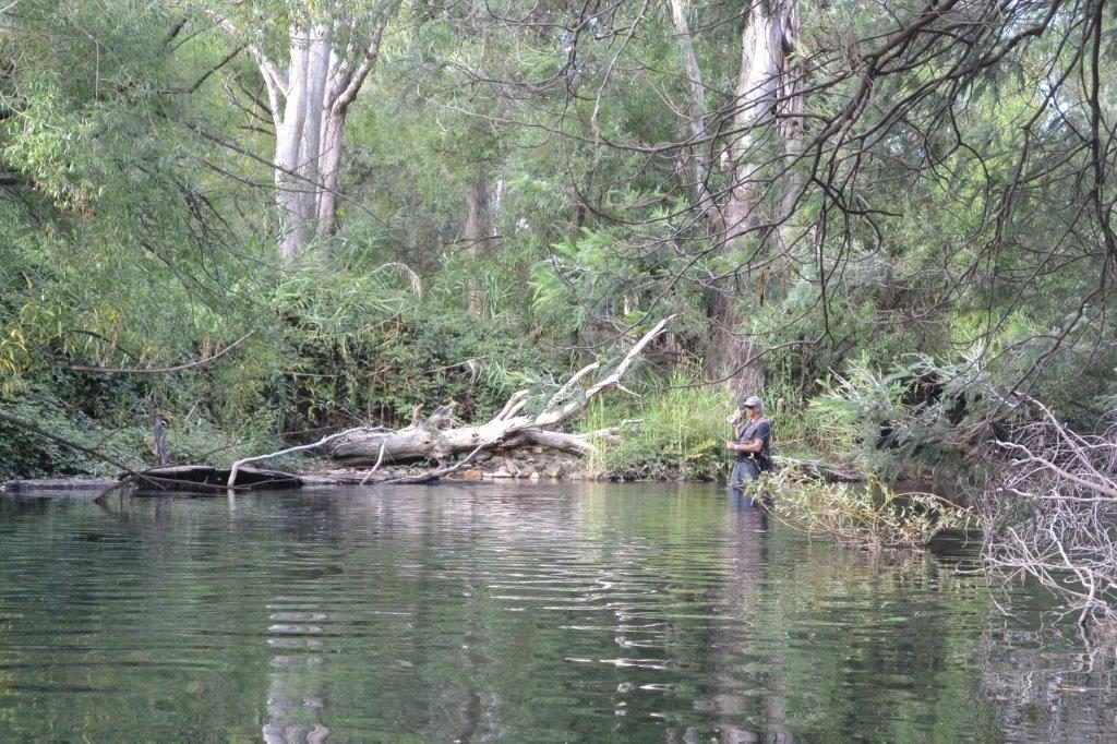 Except for a quick look for rises, we'd always bypassed this pool when trout fishing. Not when cod fishing though!