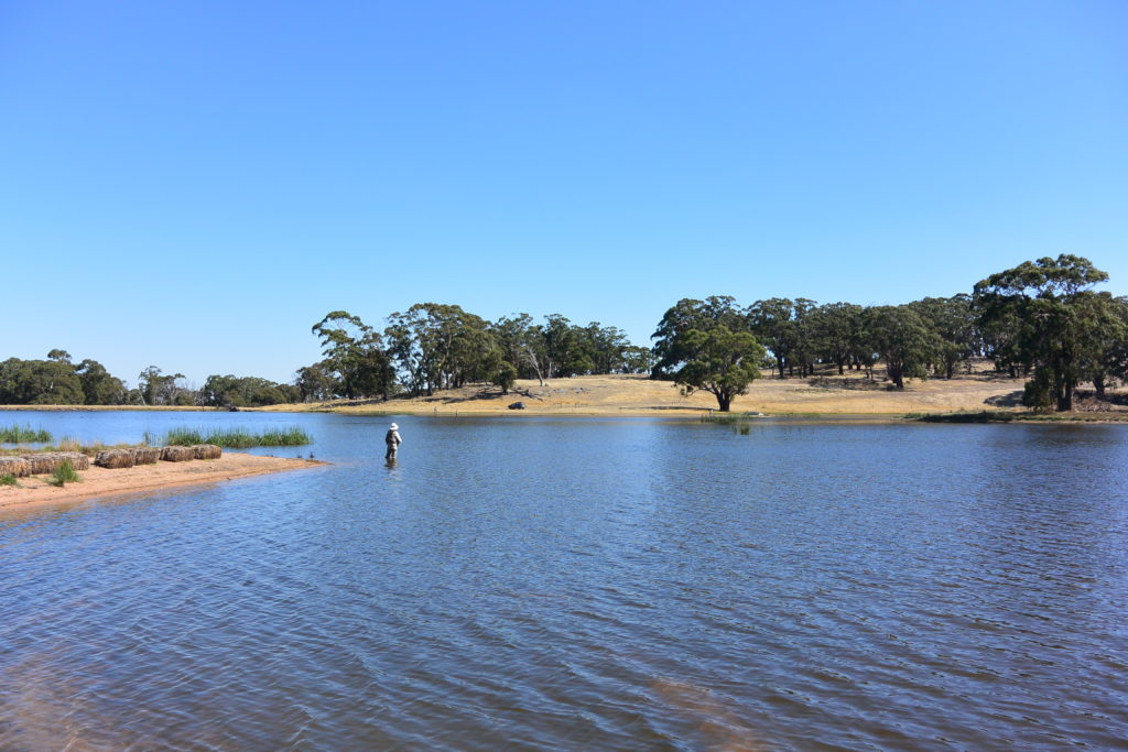 Lovely for player comfort, but too many weeks of weather like this can often work against the fishing.