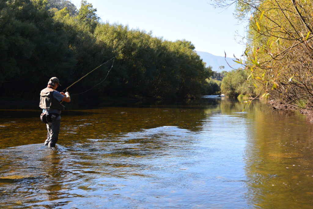 Choosing the right fly (hopefully!) for fussy Kiewa sippers.