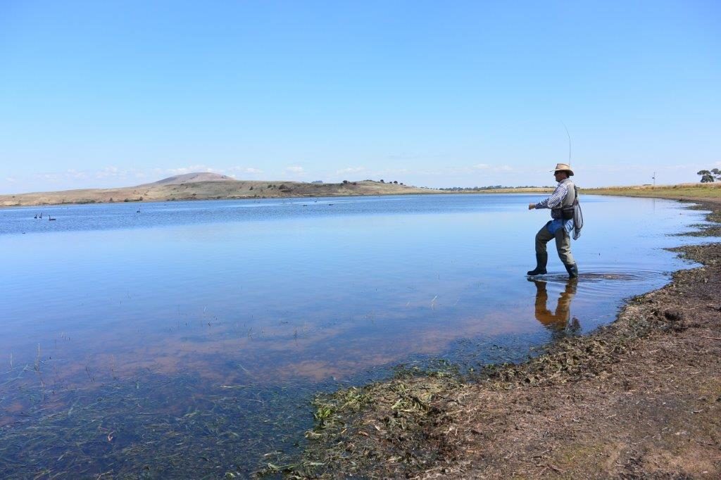 Hepburn is clear enough to fish, and the moderate discolouration may even help on bright days.