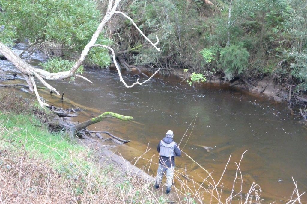 Pretty trout water on the Aire, but pretty cold too!