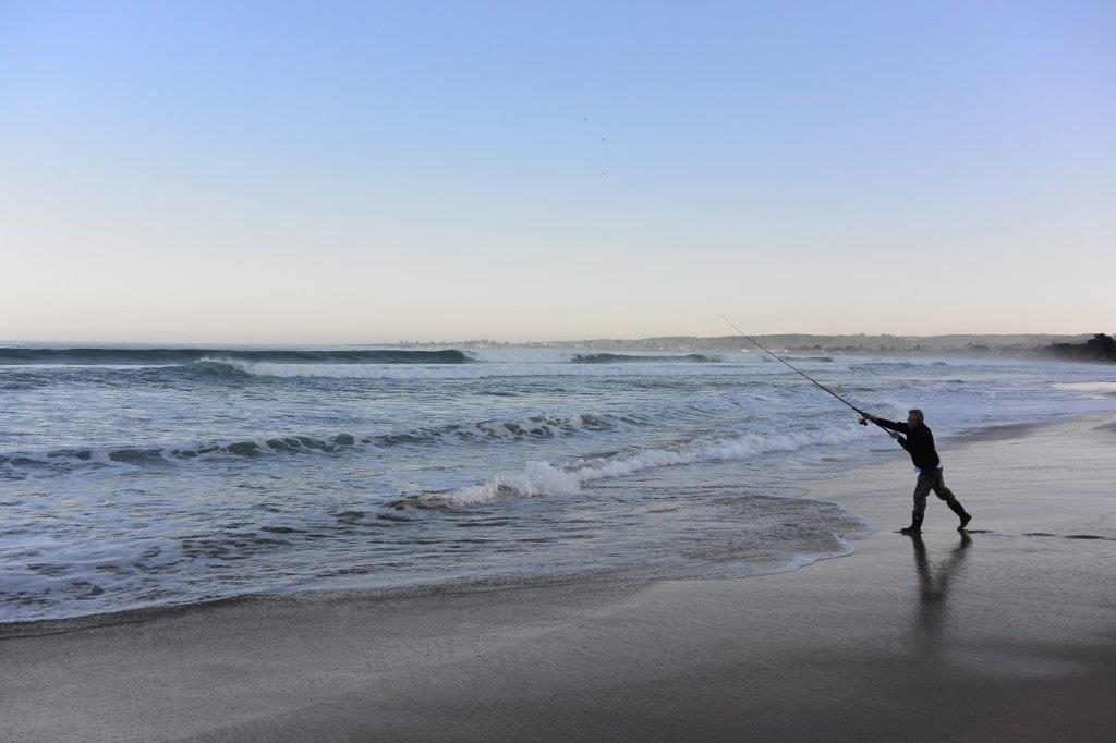 Salmon in the west coast surf are usually impossible to see.