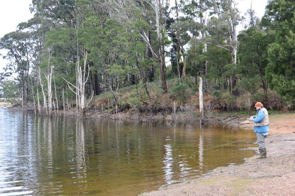 The sheltered Moorabool shore where the trout were midging.