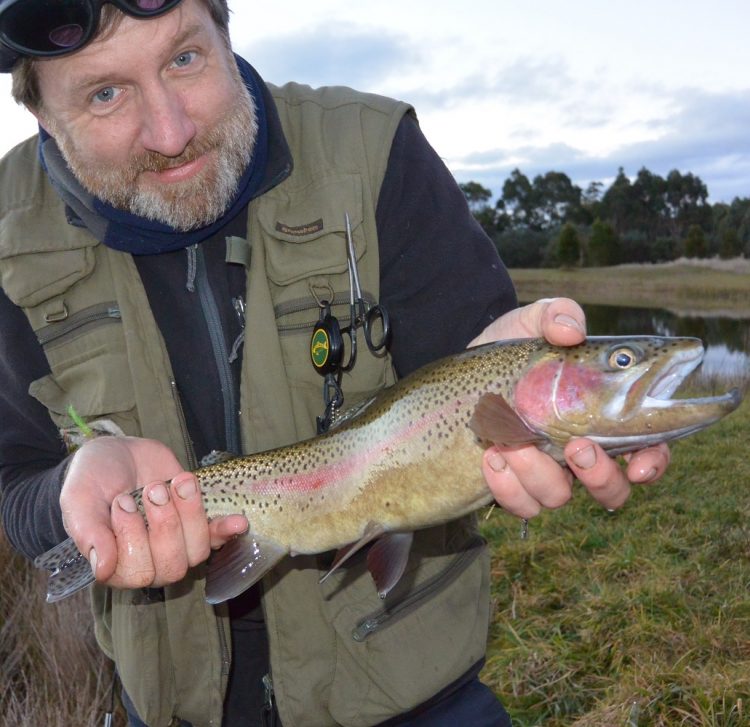 Martin and midge feeder.