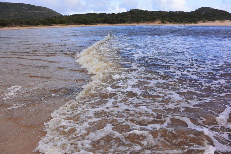 Tidal bore roaring up the Aire River. 