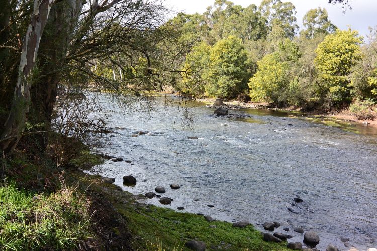 The Goulburn at 400 ML/d over winter. Too good to be true?