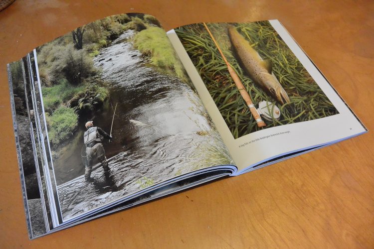 While it's the pictures that first catch your eye, this book is also a great read. 