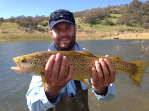David Brown Trout