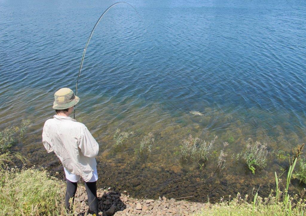 On his first day flyfishing, Dom hooked several 5 pound plus trout - and he didn't break off one. (Wish I could say the same for some of my adult guests!)