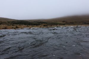 Euc in flood