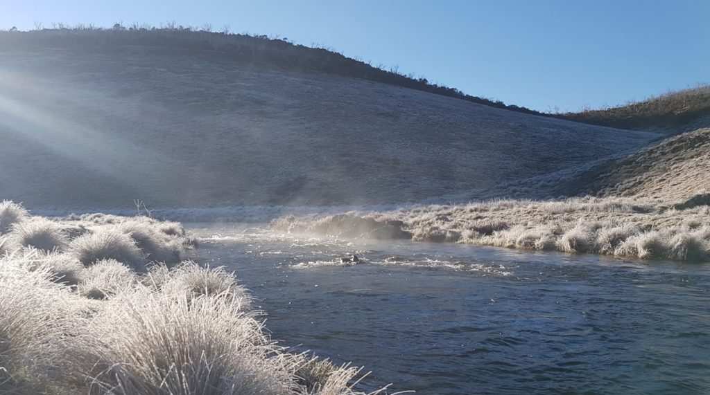 Eucumbene River spring time levels returning to normal