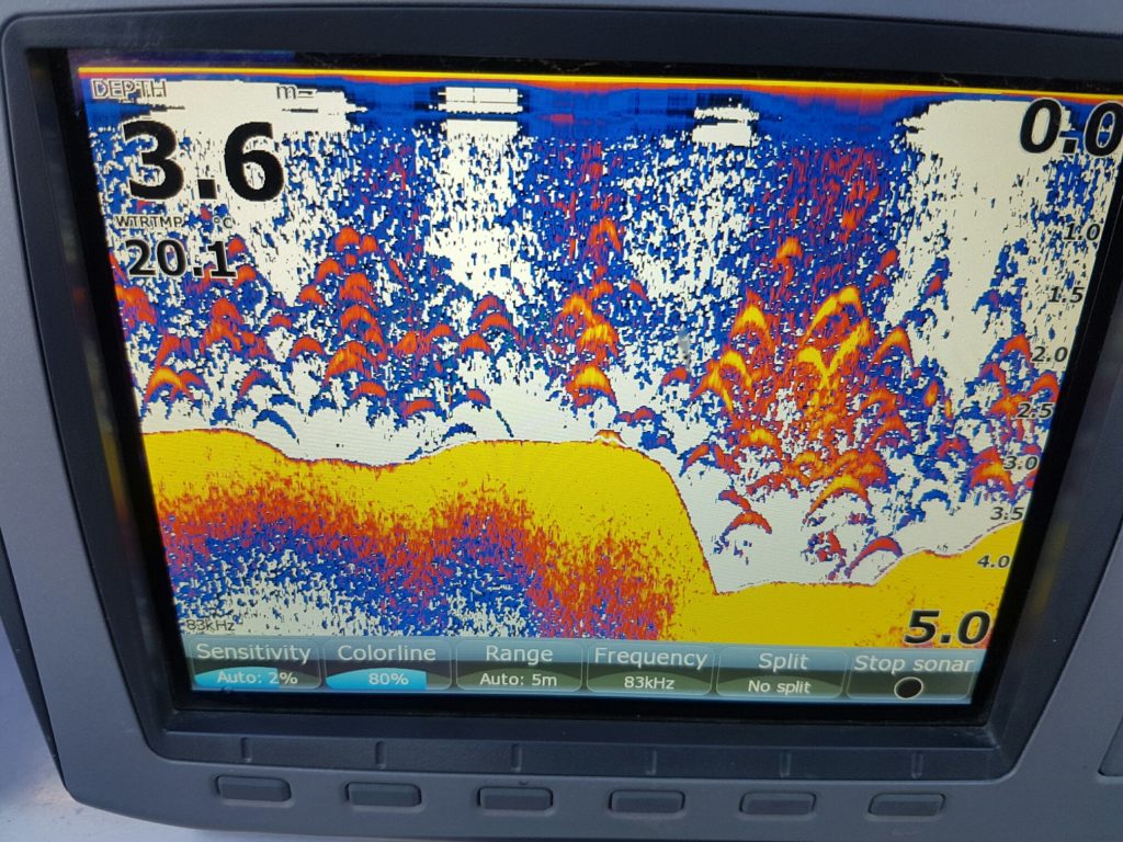 Finding some fish was just the starte of the challenge