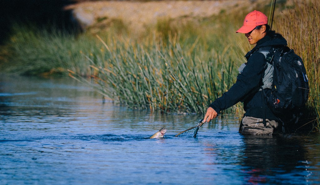 A rainbow brought to net on the final day of the season.