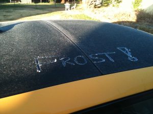 Frost