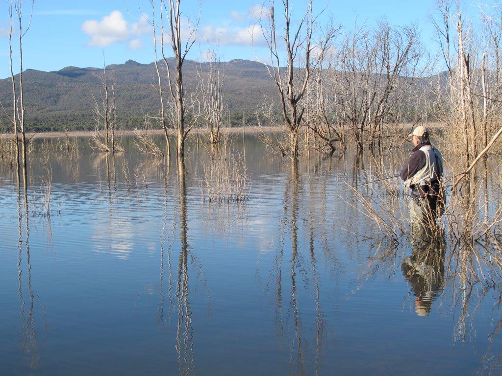 Bellfield is looking very fishable with the water clear again and the shoreline clutter slowly reducing.