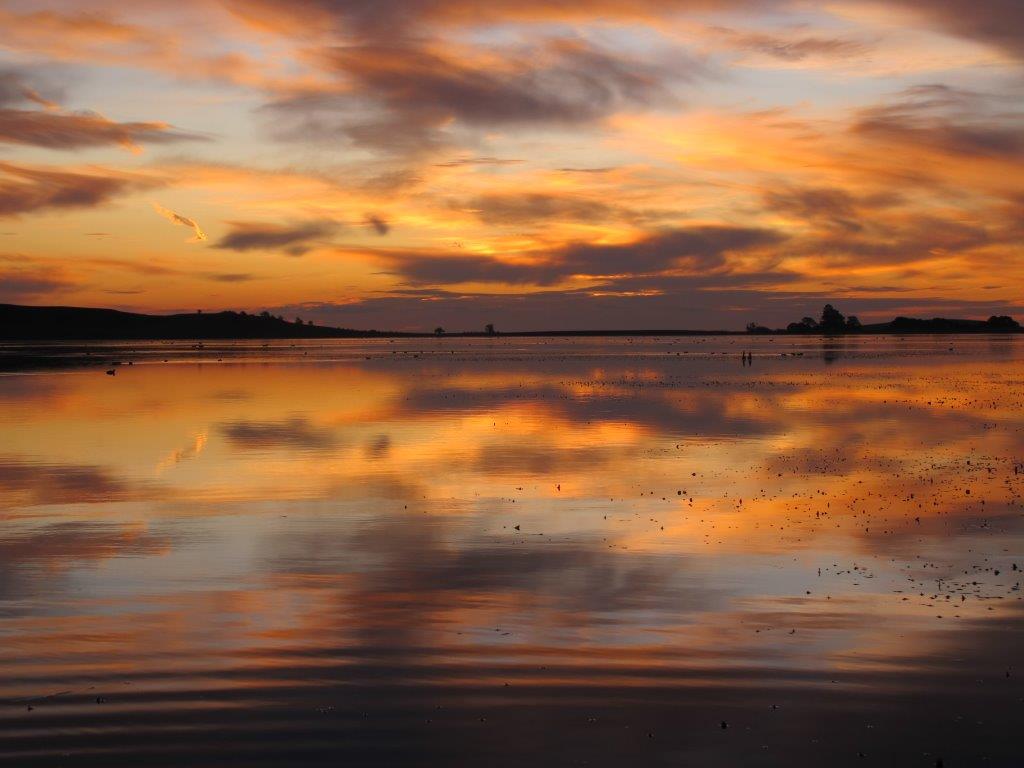 Lakes like the iconic Hepburn Lagoon in western Victoria are totally reliant on stocking to produce good trout fishing; there is little if any natural recruitment.
