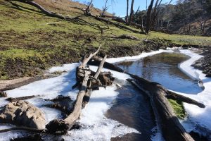 Hughes Creek iceflows
