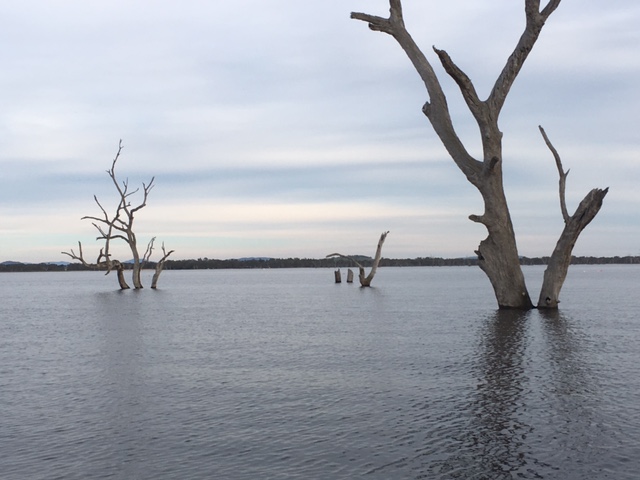 A very full lake Fyans looked fantastic.