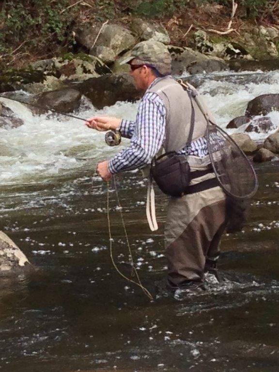 Looking for quieter patches in the torrent.