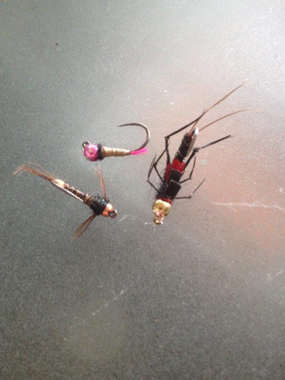 The nymphs that worked.