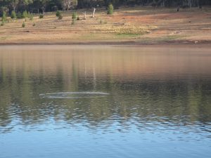 IMG_0859