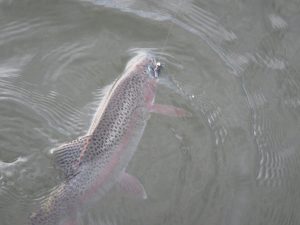 IMG_0860