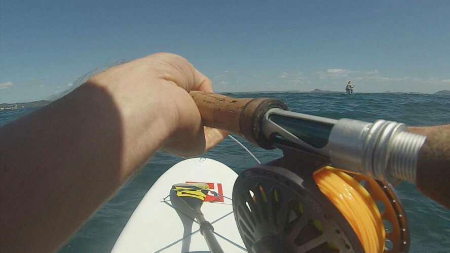 View from the board. You really need little wind and concentrated bait-balls for this option to work.